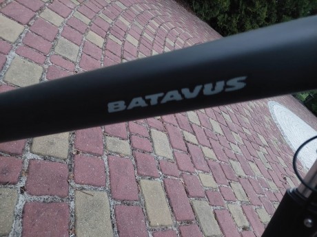 Rower  Batavus ( r) - 6